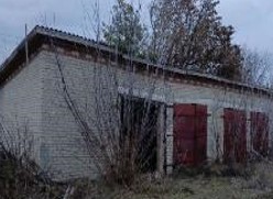 ras1