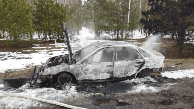 Пожары транспортных средств: в Гомельской области огнем повреждено более 20 легковых авто