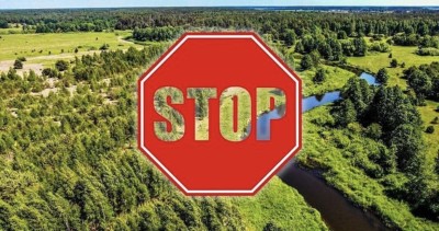 В Гомельской области введен запрет на посещение леса