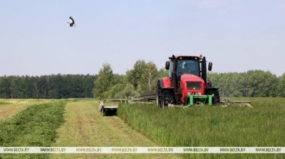 У Беларусі травы першага ўкосу скошаны на больш як 1 млн га