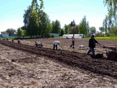 Новый огородный сезон открыли в Утевской средней школе