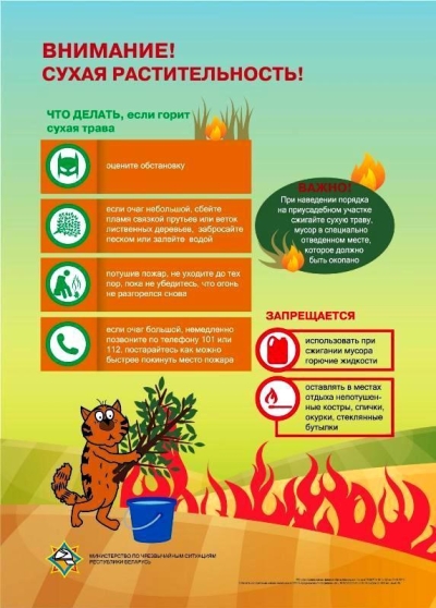 МЧС предупреждает об опасности палов сухой растительности!