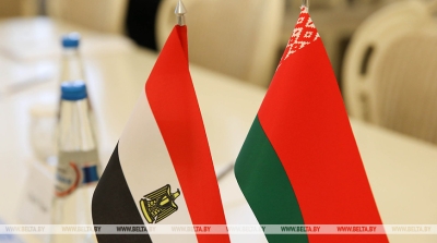 Lukashenko outlines cooperation prospects with Egypt