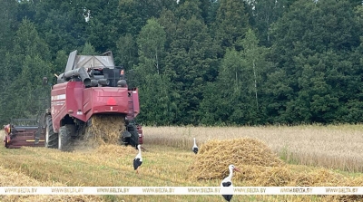 У бягучым годзе аграрыям краіны пастаўлена 200 новых камбайнаў