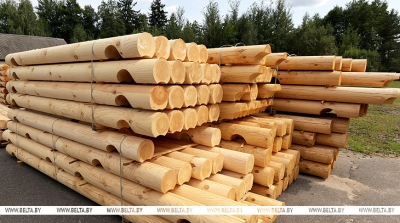 Decree signed to offer cheap timber for housing construction in Belarus