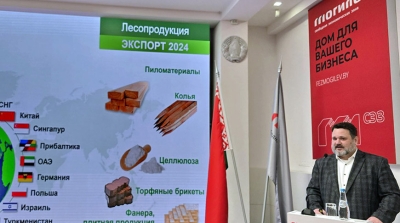 Belarus’ export to Russia increases almost tenfold via BUCE